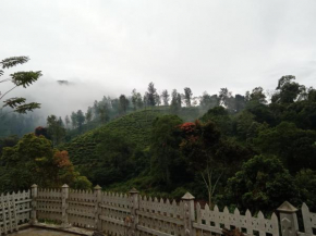 Village Nest